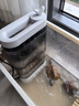 疯狂水草龟缸过滤器循环水泵可免换水低水位净水器 4层净水全套乌龟过滤器 实拍图