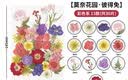 天色干花书签材料包创意手工制作小学生男女孩毕业纪念礼物植物标本莫奈花园彼得兔多色30朵TS-6136 实拍图