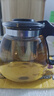 一壶四杯茶壶套装 大容量玻璃茶杯带滤网耐高温水壶茶具无底座 1000ML一壶+四杯套装【无茶盘】 实拍图