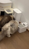 小佩智能【无线】饮水机MAX 宠物锂电池抑菌猫咪狗狗饮水喝喂水器 【可沸水清洗版】无线饮水机MAX2 实拍图