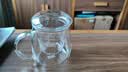 物生物（RELEA）玻璃杯男女士茶水分离杯耐高温办公泡茶杯带把高硼硅水杯花茶杯子 实拍图