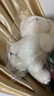 名创优品（MINISO）塔妮兔乖乖坐姿公仔兔子毛绒玩具儿童玩偶抱枕娃娃送礼生日礼物 实拍图