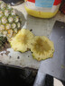 广东徐闻香水菠萝新鲜水果生鲜热带孕妇水果整箱包邮 1个装 单果1.3-1.5斤 实拍图