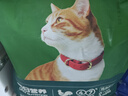 京东京造全价牛肉味猫粮10kg成猫幼猫粮通用型 实拍图