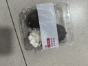 诗轩【招财】乌龟纯种石金龟黄金长寿龟宠物观赏乌龟活体乌龟活物 20-30克（5-6厘） 两只 情侣一对（招财镇宅） 实拍图