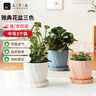 九千谷花盆创意欧式简约蓝色小号2个装多肉植物简约塑料花盆带托盘4245 实拍图