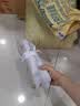 飞跃（Feiyue）24新款大博文帆布鞋男鞋体考鞋女鞋低帮布鞋田径鞋练武鞋低帮舒适 白色 40 实拍图
