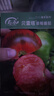 寿禾毛粉沙瓤番茄种子种苗西红柿春夏菜籽 潍育粉冠大番茄种子100粒 实拍图