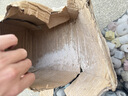 陈一凡 胰岛果 精选自然晾晒胰岛果茶干片健康无添加 养生茶罐装135g 实拍图