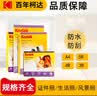 KODAK柯达A4 230g高光面照片纸/喷墨打印相片纸/相纸 20张装 5740-322 实拍图