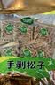 松灵手剥巴西松子250g 大颗粒开口松子仁坚果零食阿富汗当季特产 实拍图