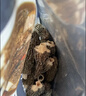 久量（DP） 电蚊拍充电式灭蚊拍电击驱蚊神器灭蝇紫光诱蚊灭蚊灯家用可折叠 旗舰款【电量数显+加强续航+紫光】 实拍图