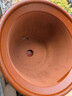 紫砂陶瓷花盆特大号花盆粗砂陶土大码陶瓷盆批发落地盆景花卉绿植 口径32cm 1个盆+托盘 实拍图