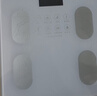 体重秤米家APP体脂秤电子秤称体重秤减肥专用智能精准体重宿舍家用减肥专用智联精准电子秤体重秤 【爆款】米家APP体脂秤 充电 特厚钢化玻璃 实拍图