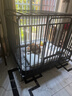 憨憨宠 狗笼 狗笼子中大型犬小型犬带厕所加粗加固金毛拉布拉多方管笼子 升级六面全方管125*95*105cm 120斤内适用 实拍图
