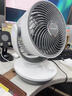 夏普小风铃空气循环扇电风扇家用小型桌面台式宿舍卧室办公室静轻音抑菌扇叶摇头台扇PJ-CA230B-A 实拍图