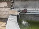 鱼池过滤器不锈钢箱水循环水泵系统室外鱼池塘净化过滤器材料净水 全套10立方瀑布箱+水泵+水管3米 实拍图