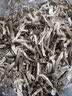 京鲜生云南鹿茸菇干货【A级大条】净重100g 火锅小炒煲汤源头直发 实拍图
