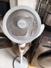 艾美特（AIRMATE）【小暴风PRO】空气循环扇家用大风力摇头电风扇卧室安静轻音小风扇桌面台式节能落地扇电扇 X231 实拍图