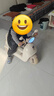 倍贝乐儿童电动车摩托车1-3岁宝宝3-6-8岁小孩子三轮遥控玩具车可坐人 萌棕熊-顶配【双驱6v7+早教+遥控 男女宝宝六一儿童节过周岁礼物 实拍图