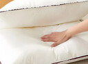 水星家纺枕头枕芯酒店枕头护颈枕头芯家用单个纯棉抗菌可水洗中枕48x74cm 实拍图