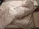 进出口重磅真丝四件套100桑蚕丝床单高级感被套双面丝绸床上用品4 香槟金【顺丰速发+会员礼盒】 1.5m 床单款 四件套-被套200*230cm 实拍图
