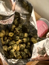 南同神州菊花茶特级胎菊桐乡杭白菊花蕾黄下去火清热毒解枸杞金银花泡水喝 实拍图