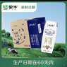蒙牛【新鲜日期】特仑苏纯牛奶250ml*16盒 家庭早餐 送礼盒装 实拍图