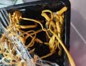 菌菇煲汤组合180g（羊肚菌+鸡枞菌+赤松茸+虫花草） 实拍图