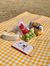 尚烤佳（Suncojia）野餐垫 防潮垫 黄白格沙滩垫子 帐篷隔潮爬行垫2*2米 实拍图