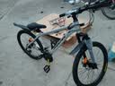 凤凰上海凤凰山地车自行车男士女式学生成人变速宽胎越野公路赛单车 【钢架/全套竞速轴承】条轮消灰 24寸24速【建议身高138-168cm】 实拍图