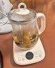 天际（TONZE）养生壶 1.5L全自动煮茶壶 24h预约烧水壶 12小时智能恒温 提壶记忆电热水壶 花茶壶煮茶器15YS02 实拍图