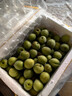 志褚 新鲜青梅鲜果 高山福建诏安青梅果鲜酸脆梅子泡酒青梅酵素 青梅【大果5斤】 实拍图