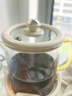 WORLD KITCHEN美国康宁养生壶多功能家用小型办公室全自动全玻璃恒温壶0.5L迷你养生杯煮茶器煮茶壶（标准款） 实拍图