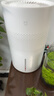 米家小米空气加湿器 无雾加湿器3 400mL/h快速加湿保湿礼品家用卧室大容量办公室婴儿孕妇 4L大容量 实拍图