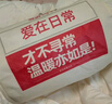 梦洁家纺燃梦30%纤维大豆被芯A类抗菌春秋四季被填充物约1000g 200*230cm 实拍图