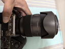 腾龙（Tamron）A078S 35-100mm F/2.8 Di III VXD大光圈变焦镜头20周年纪念版 索尼全画幅微单镜头(索尼全幅E口) 实拍图