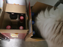 罗莎庄园法国原瓶进口红酒整箱 罗莎维克多干红葡萄酒750ml*6瓶 实拍图