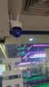 HIKVISION海康威视摄像头4g终身免费无限流量500万超清监控器全彩360°全景AI室外家用 无线联网无需WiFi 实拍图