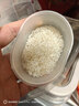 崇明大米2026当月新米南粳46大米10斤5kg岛内直供香糯软珍珠米粳米含胚芽 实拍图