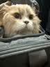 橙央猫包便携包手提式猫包外出宠物包加大猫咪包透气可折叠斜挎猫背包 绅士灰(透气不闷 加宽肩带） L大型-15斤内猫咪 拒绝应激｜大空间不憋屈｜手提斜挎可折叠 实拍图