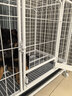 贝初众狗笼小中大型犬一室一厅狗笼子金毛狗窝狗别墅带厕所加粗宠物笼子 【30斤适用】78*54*70cm白笼 【耐啃耐咬安全可靠】 实拍图