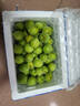 志褚 新鲜青梅鲜果 高山福建诏安青梅果鲜酸脆梅子泡酒青梅酵素 青梅【特大果5斤】 实拍图