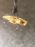 光威VIB亮片路亚假饵迷你锌合金远投饵专杀翘嘴鲈鱼黑鱼鲅鱼铁板 VIB：锌合金（10g银色） 实拍图