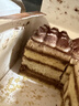 鲜京采新提拉米苏蛋糕400g/6块 动物奶油咖啡雪糕零食糕点茶歇中秋聚会 实拍图