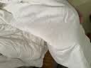 京东京造100%天然新疆棉花被 纯棉空调被芯双人被子 春秋被4.6斤2x2.3m 实拍图