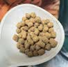 网易严选全价鲜蒸幼猫粮高鲜肉主粮鸡鱼羊奶粉乳化助消化强免疫2-12月 4kg 实拍图