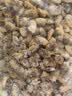 灵略新鲜活剥蛤蜊肉净重2斤 花甲花蛤蚬子肉大号去壳去沙 生鲜 贝类 实拍图