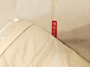 京东京造100%桑蚕丝被双宫茧 被芯蚕丝春秋被子四季通用-子母被200x230cm 实拍图