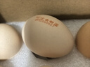 牧族 可生食新鲜鸡蛋 NSF认证 无抗生素 无菌蛋单枚50g 可生食30枚 实拍图